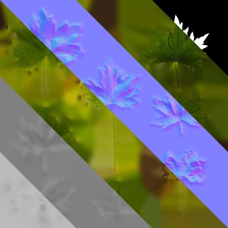 Anydrafts Delphinium elatum Leaf 02 Texture_8