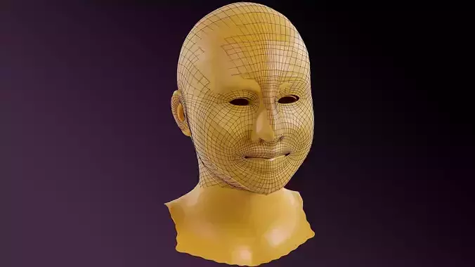 Clean 3D Retopology  Face Model For Animation and Sculpting