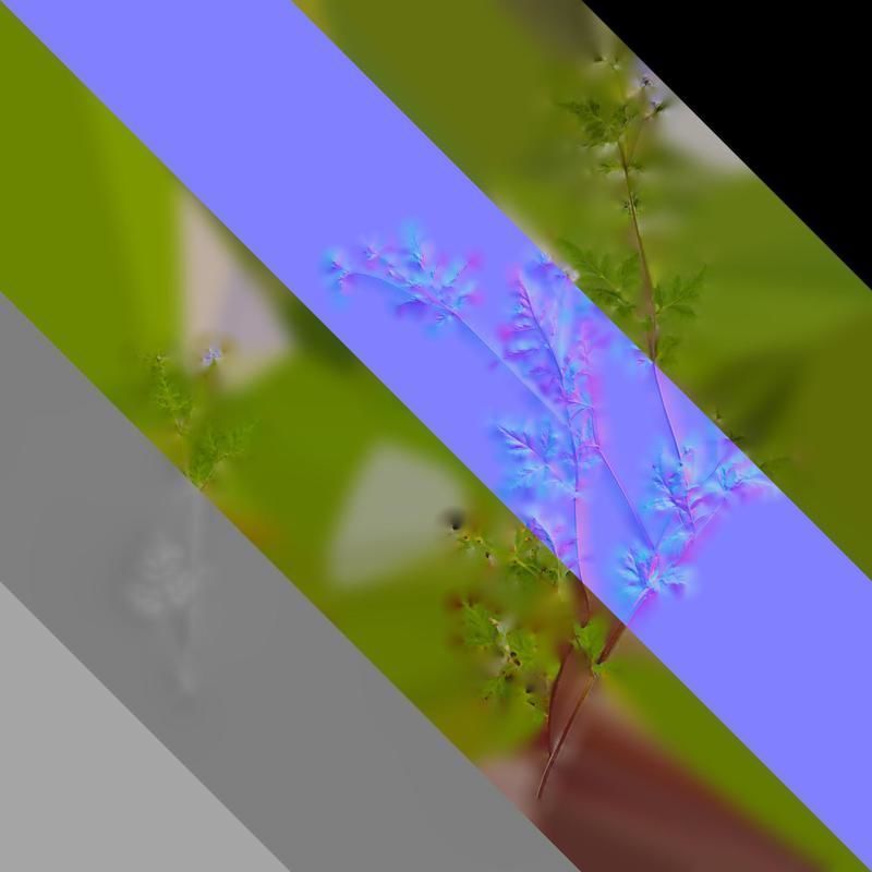 Anydrafts Delphinium grandiflorum Atlas 01 Texture_8