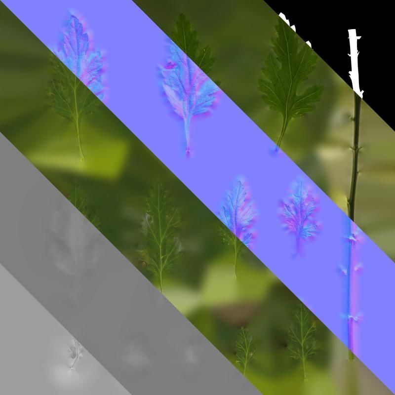 Anydrafts Dendranthema morifoliumcv Leaf 01 Texture_8