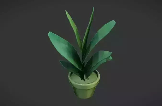 Stylized Indoor plant 