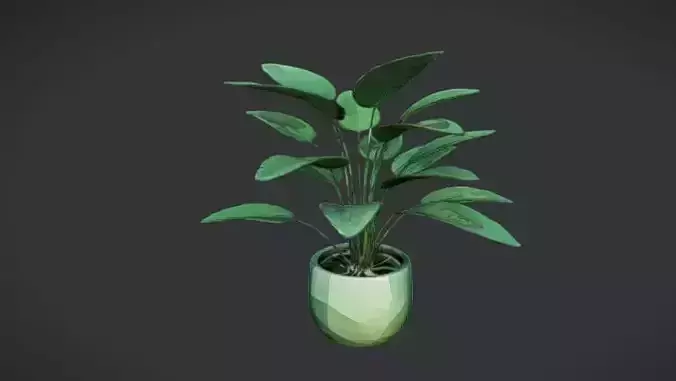 Stylized Indoor plant