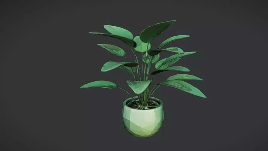 Stylized Indoor plant 3D model_0