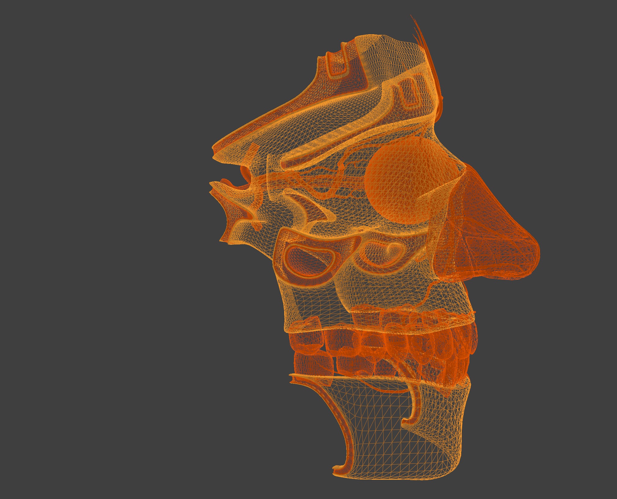 3D Model of Complete Eye Anatomy in Skull 3D print model_4