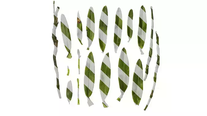 Anydrafts Dendrobium nobile Leaf 02