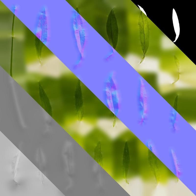 Anydrafts Dianthus barbatus Leaf 02 Texture_8