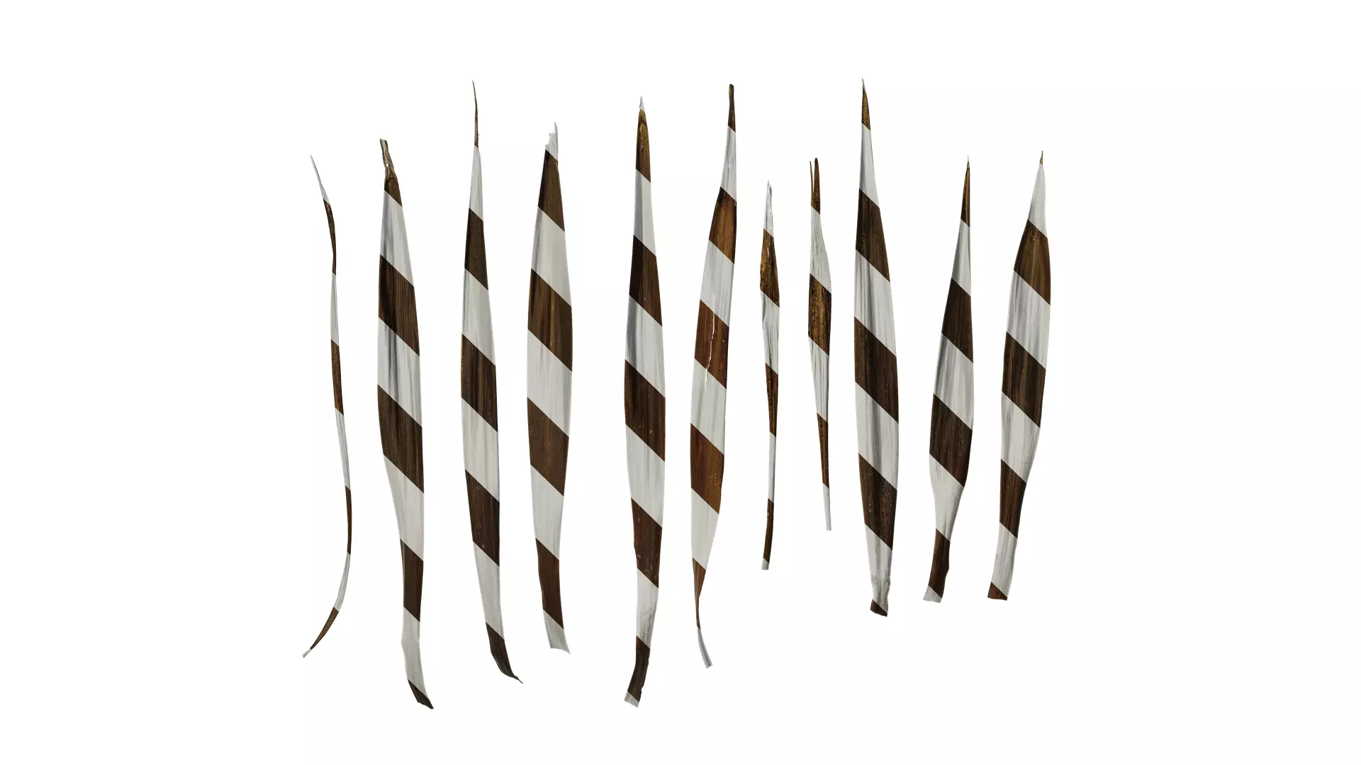 Anydrafts Cordyline australis purpurea Leaf 01 Texture