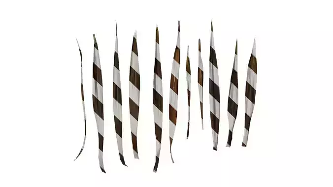 Anydrafts Cordyline australis purpurea Leaf 01