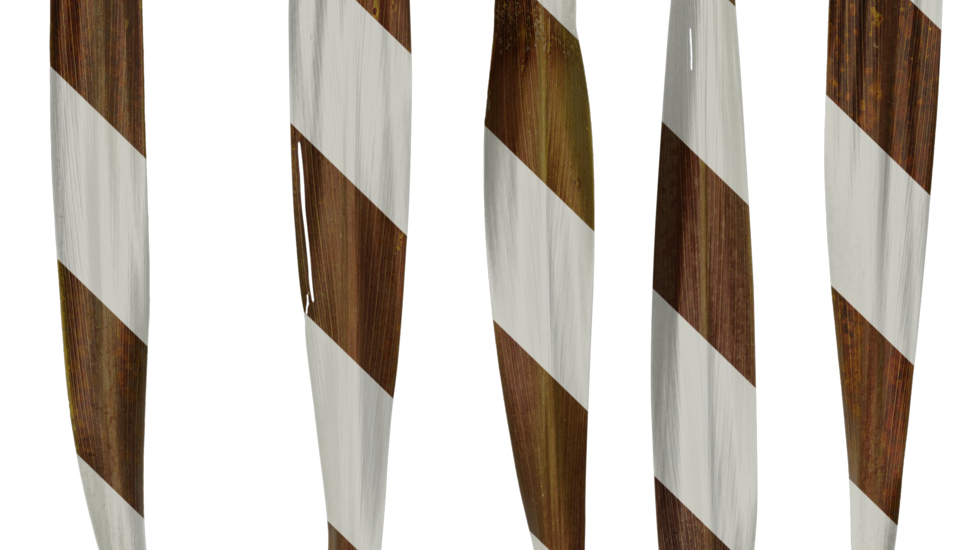 Anydrafts Cordyline australis purpurea Leaf 02 Texture_5