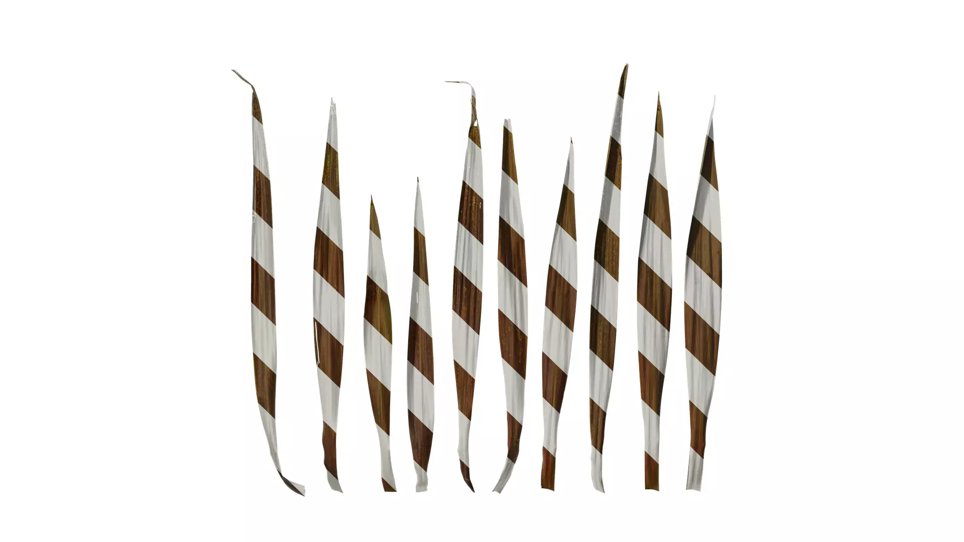 Anydrafts Cordyline australis purpurea Leaf 02 Texture_0