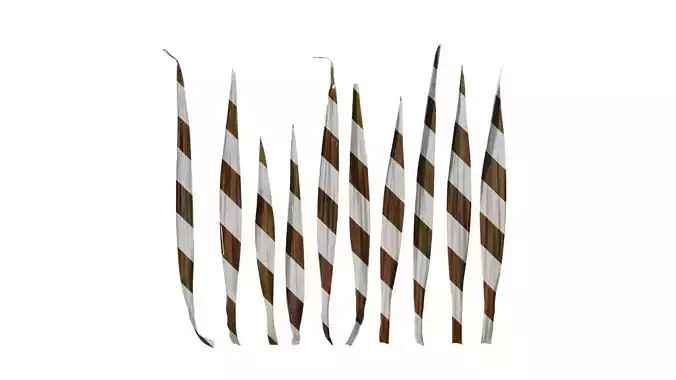 Anydrafts Cordyline australis purpurea Leaf 02