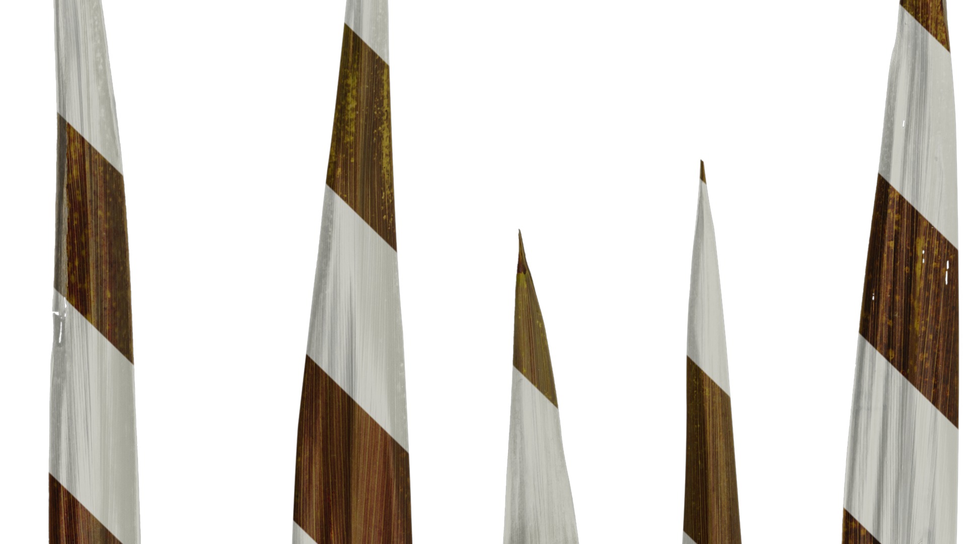 Anydrafts Cordyline australis purpurea Leaf 02 Texture_3