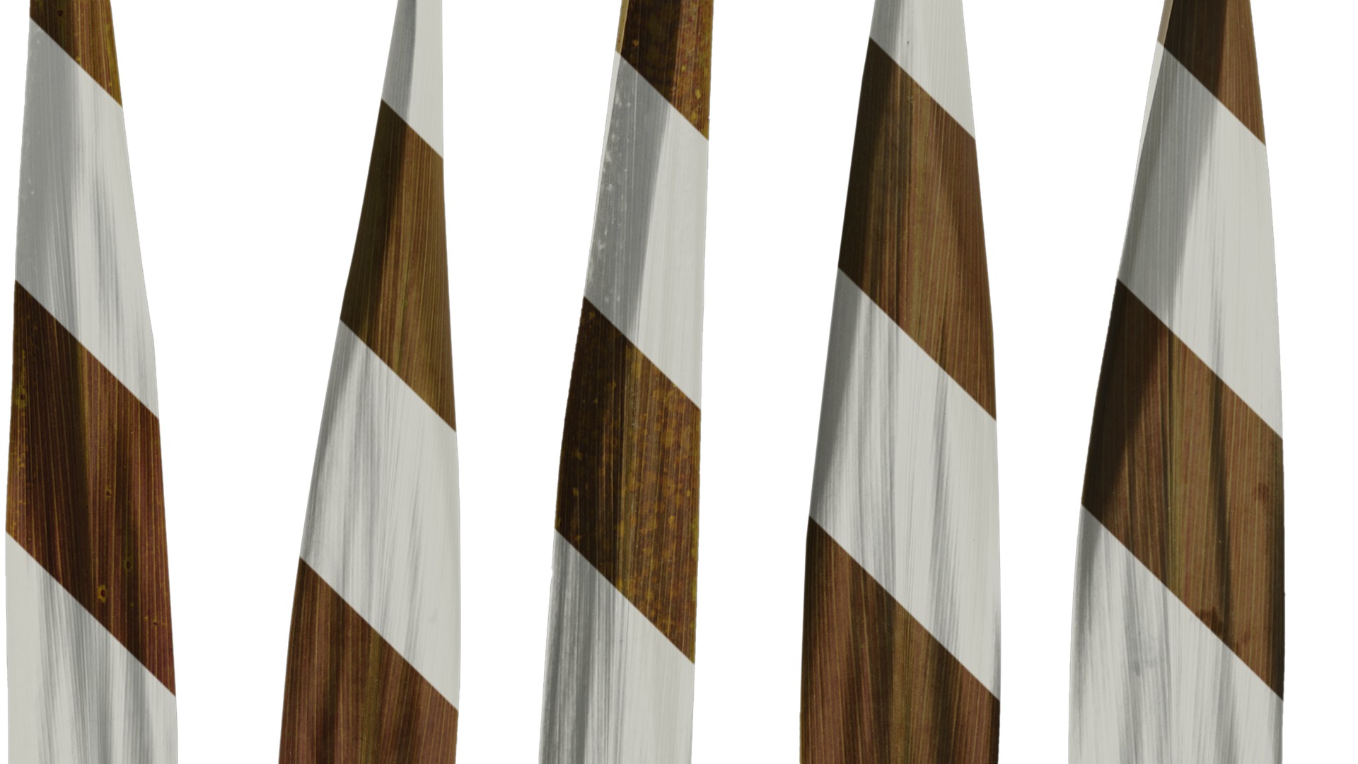 Anydrafts Cordyline australis purpurea Leaf 02 Texture_4