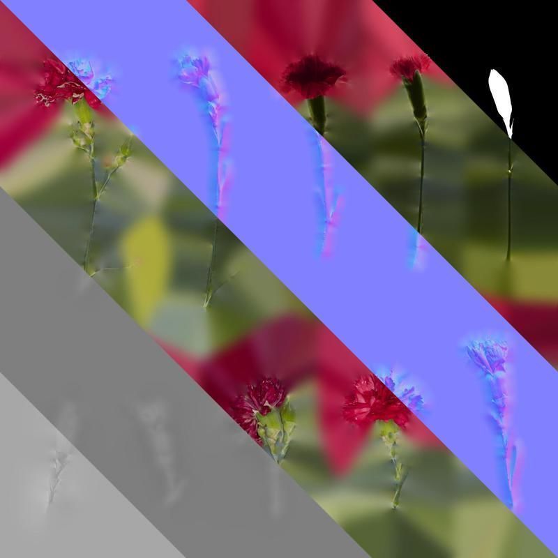 Anydrafts Dianthus caryophyllus Atlas 10 Texture_8