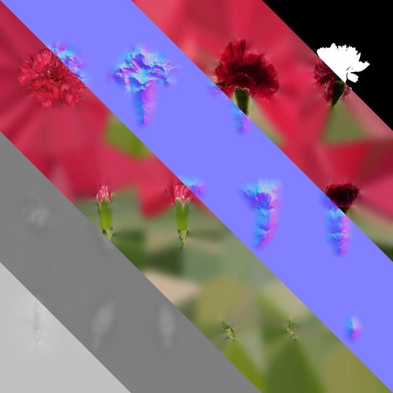 Anydrafts Dianthus caryophyllus Flower 12 Texture_8