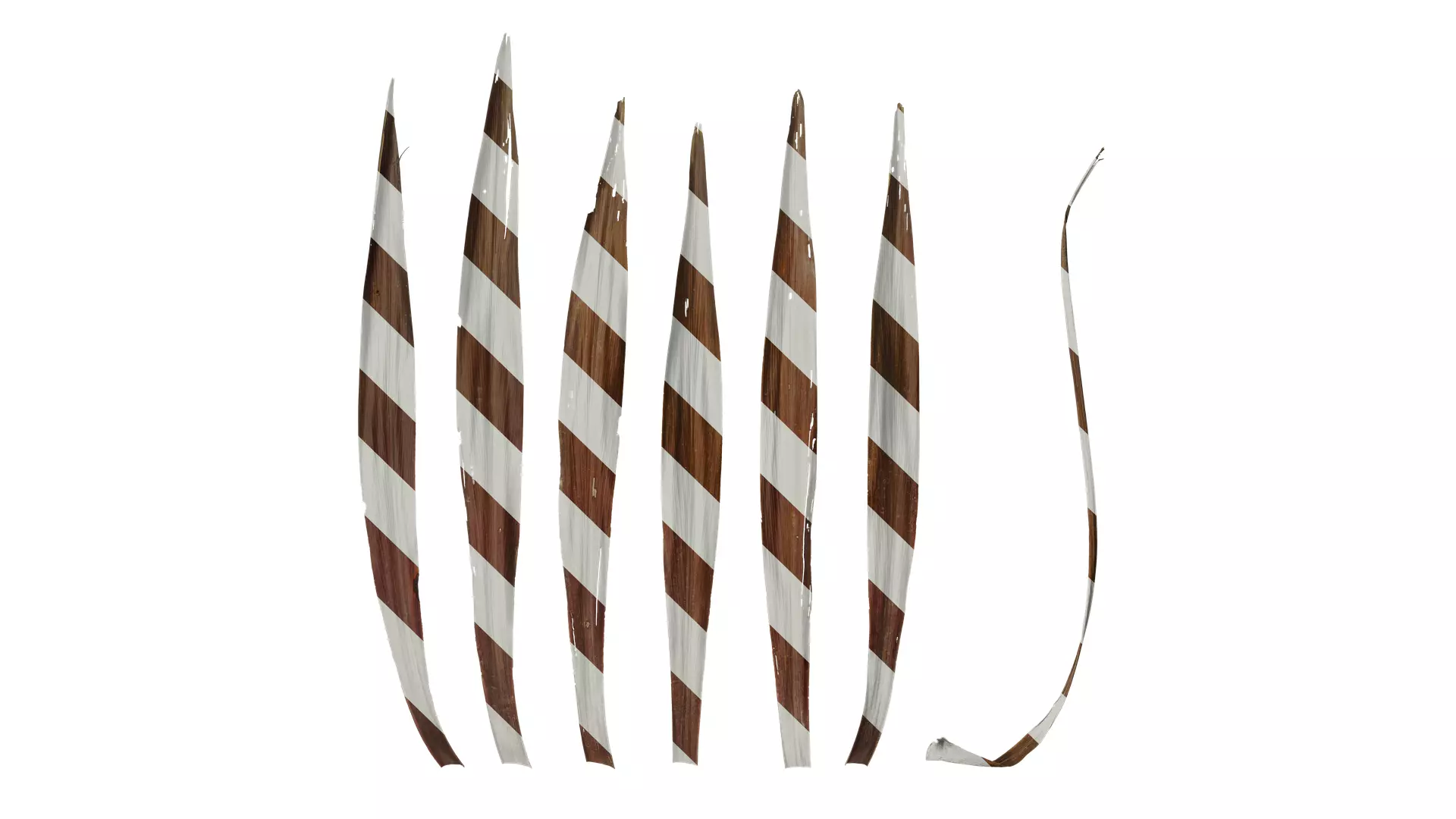 Anydrafts Cordyline australis purpurea Leaf 03 Texture