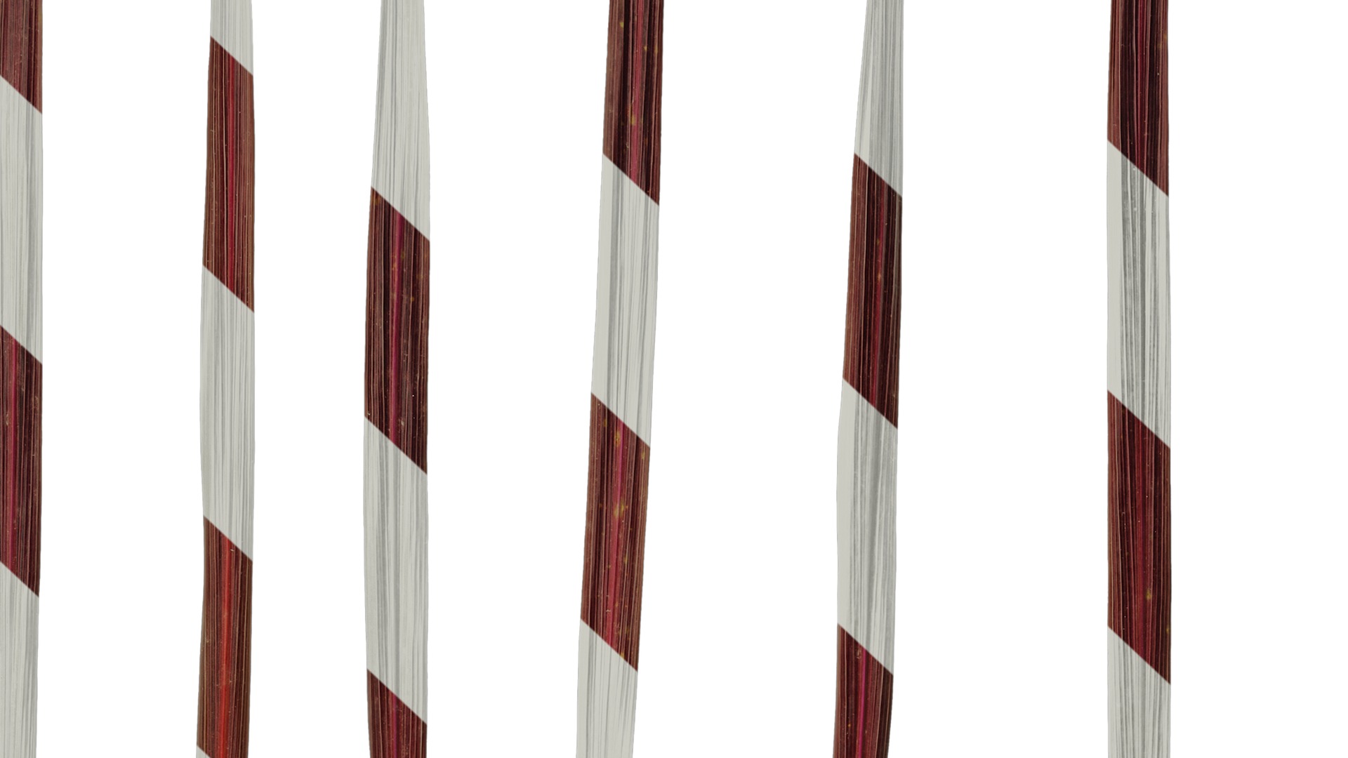 Anydrafts Cordyline australis red sensation Leaf 01 Texture_7