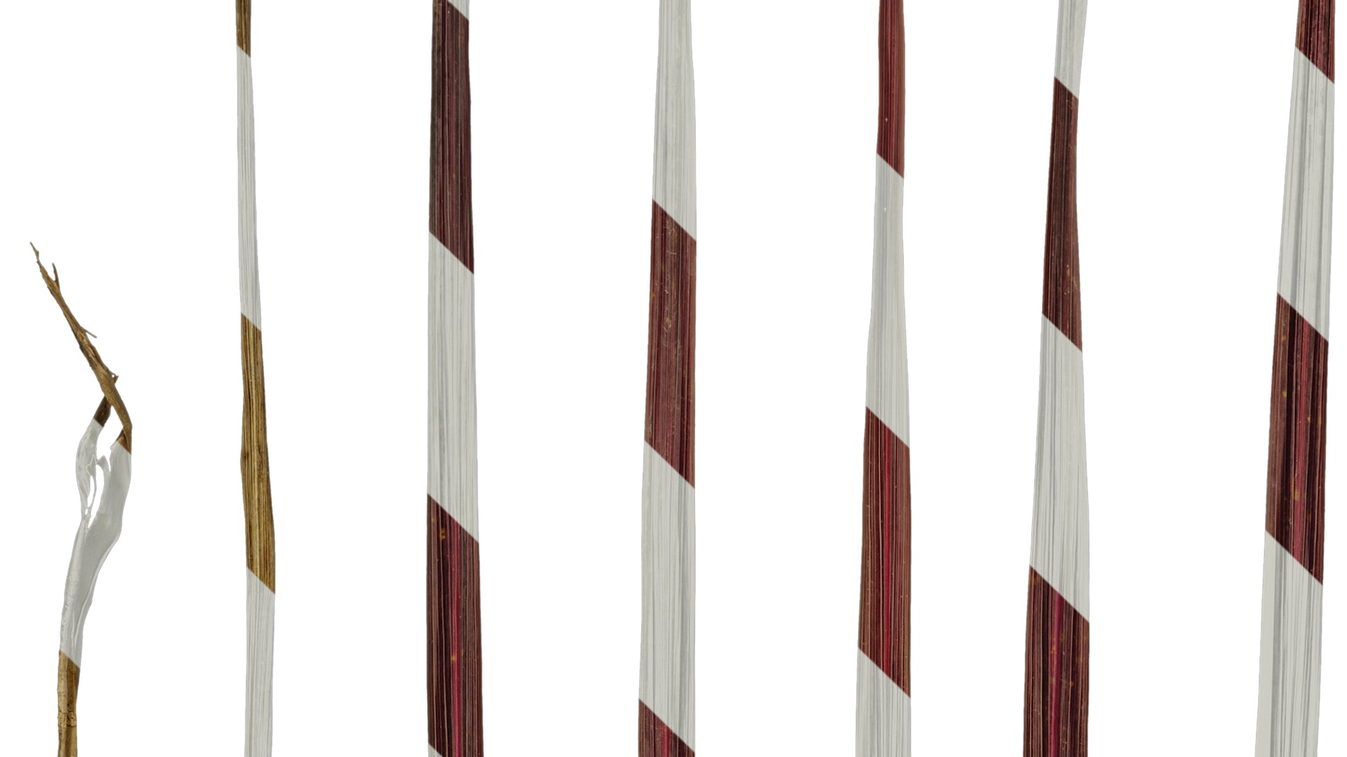 Anydrafts Cordyline australis red sensation Leaf 01 Texture_3