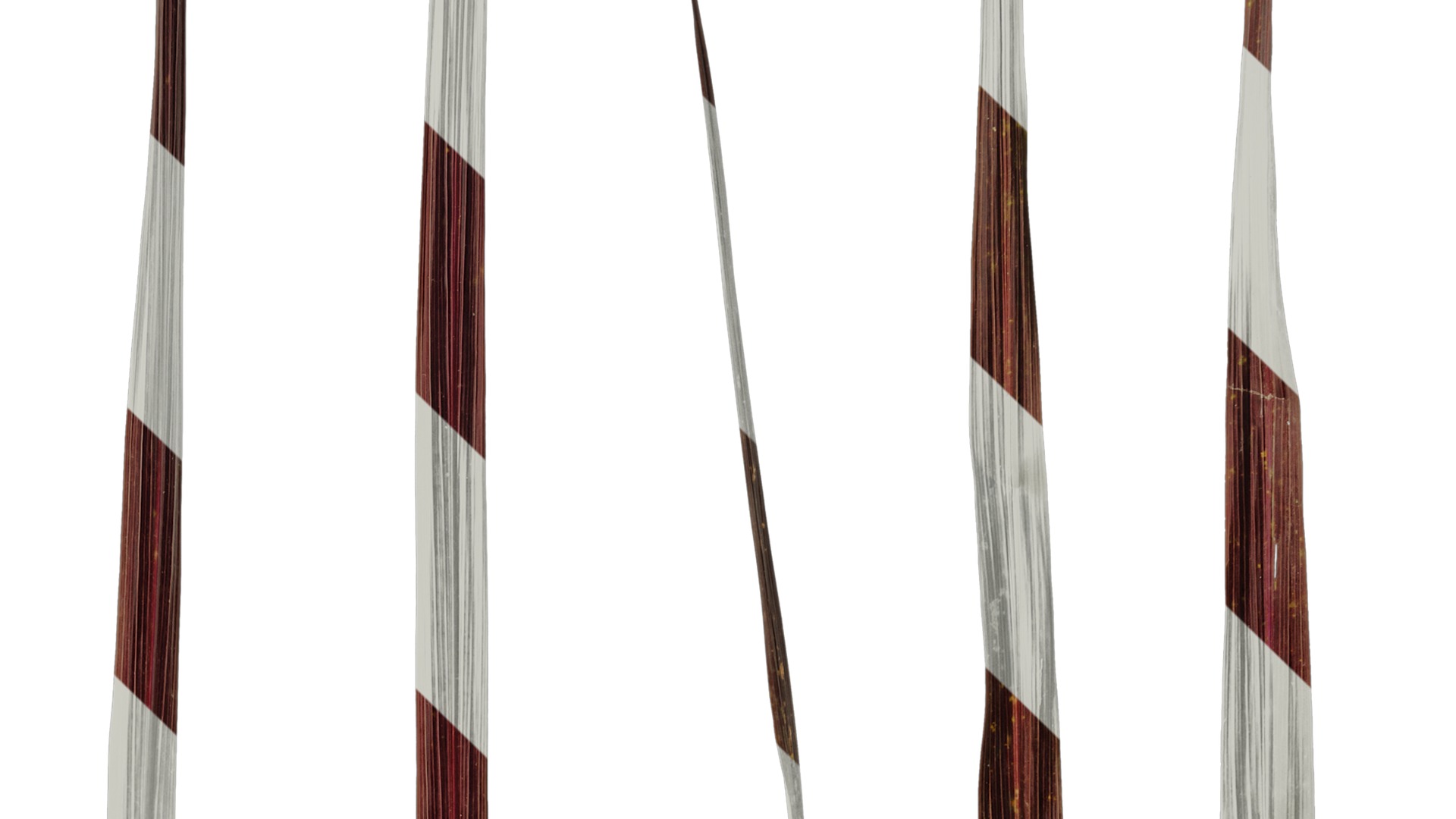 Anydrafts Cordyline australis red sensation Leaf 01 Texture_4