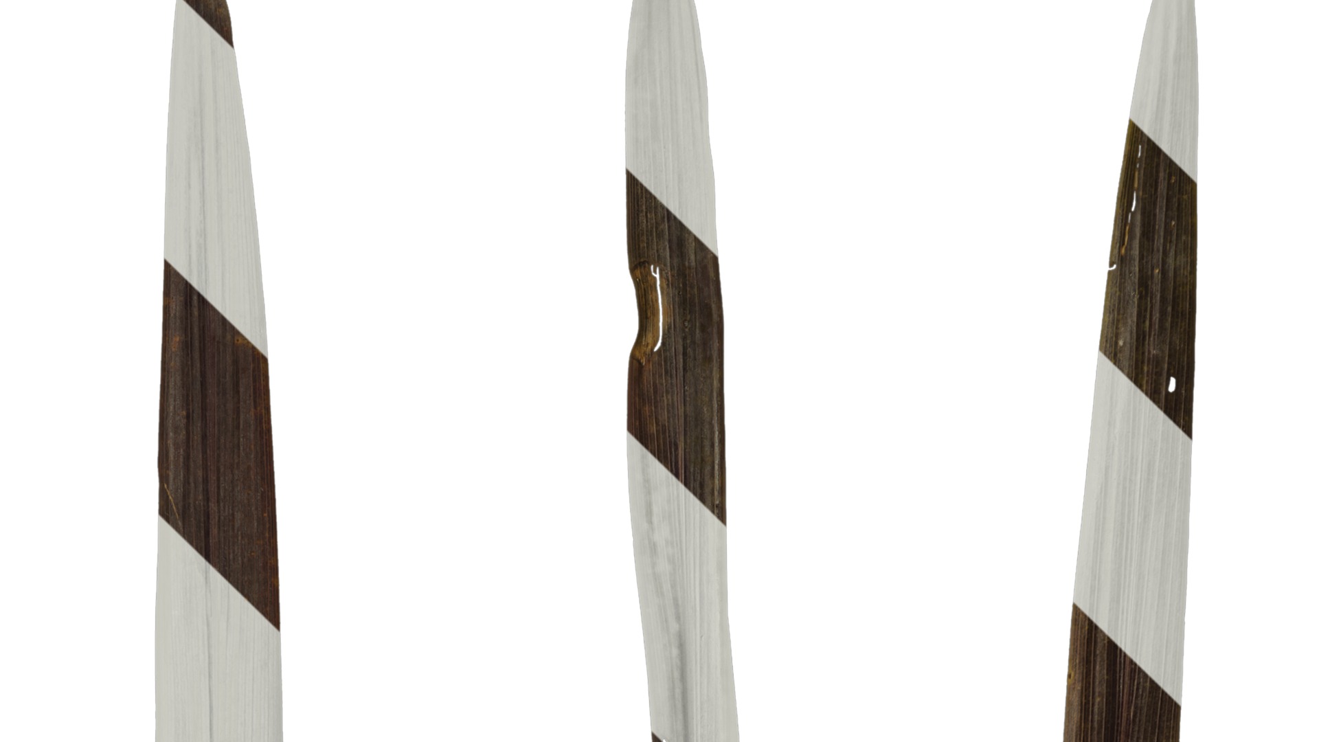 Anydrafts Cordyline australis red star Leaf 01 Texture_1