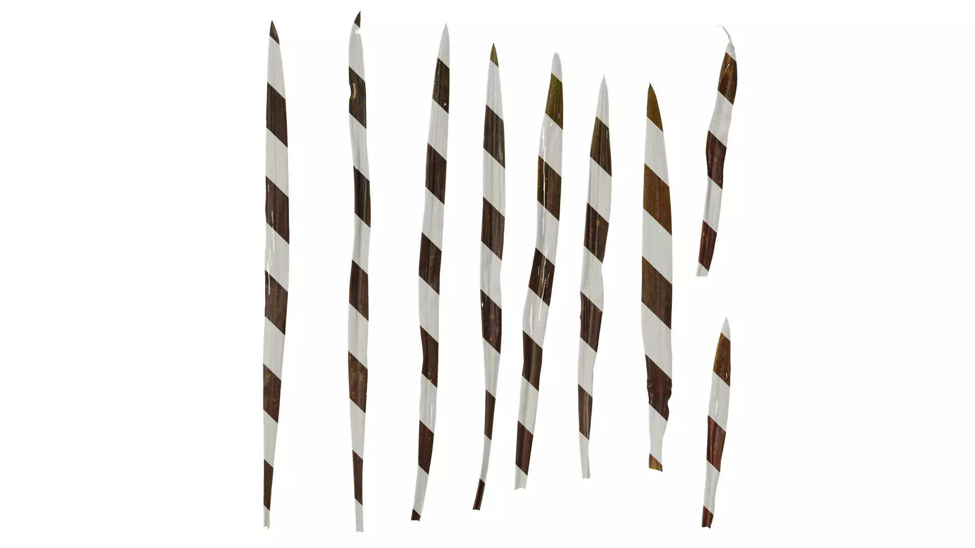 Anydrafts Cordyline australis red star Leaf 01 Texture_0