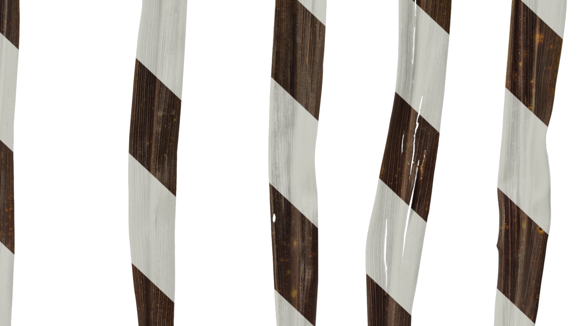 Anydrafts Cordyline australis red star Leaf 01 Texture_7