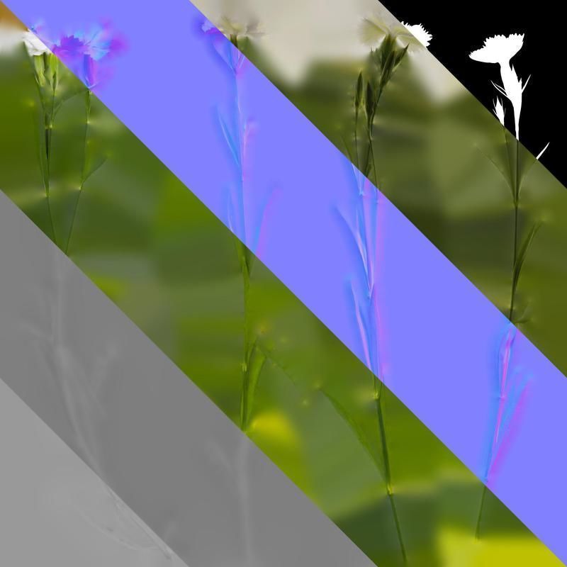 Anydrafts Dianthus chinensis Atlas 11 Texture_8