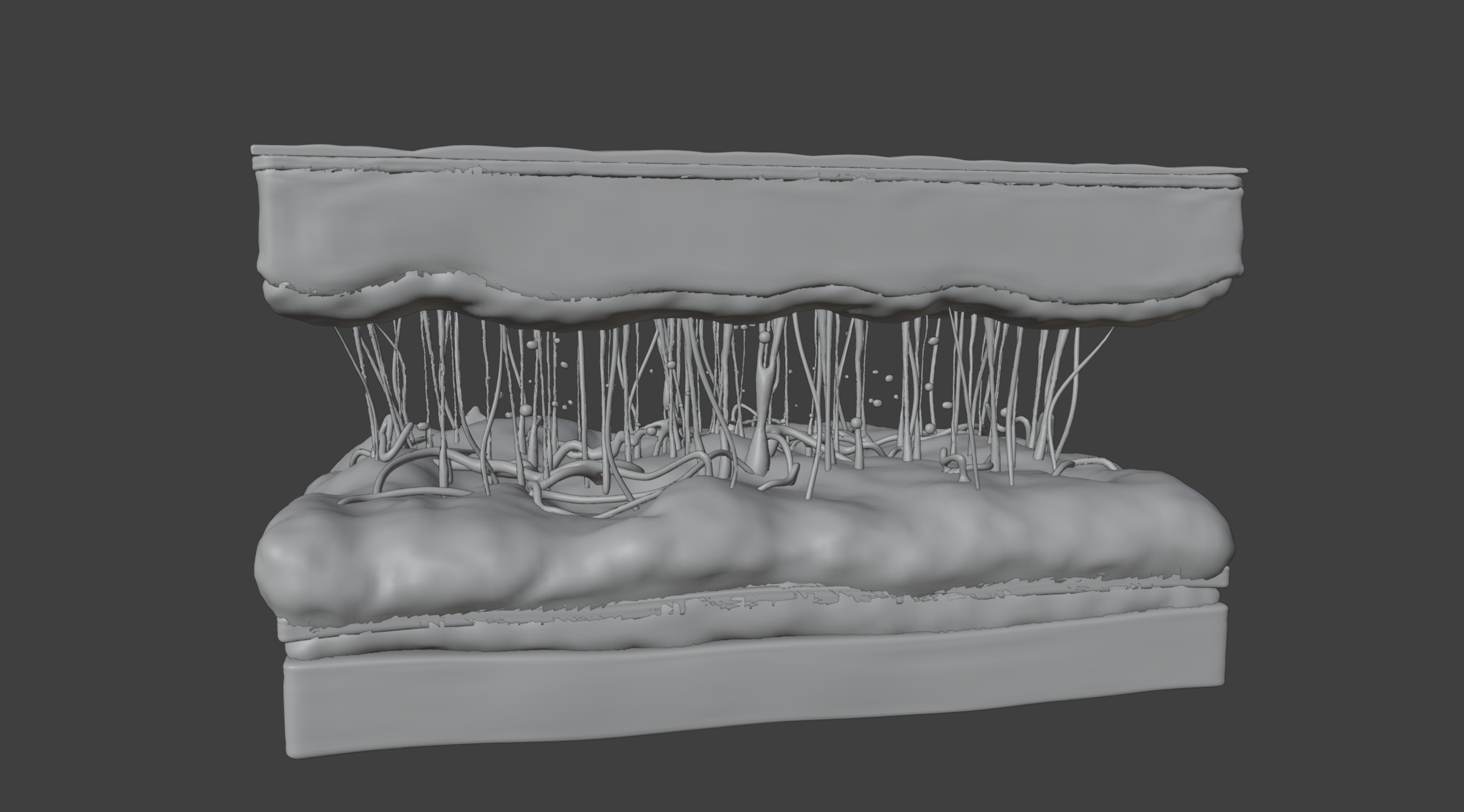 3D Model of Skin Anatomy 3D print model_8