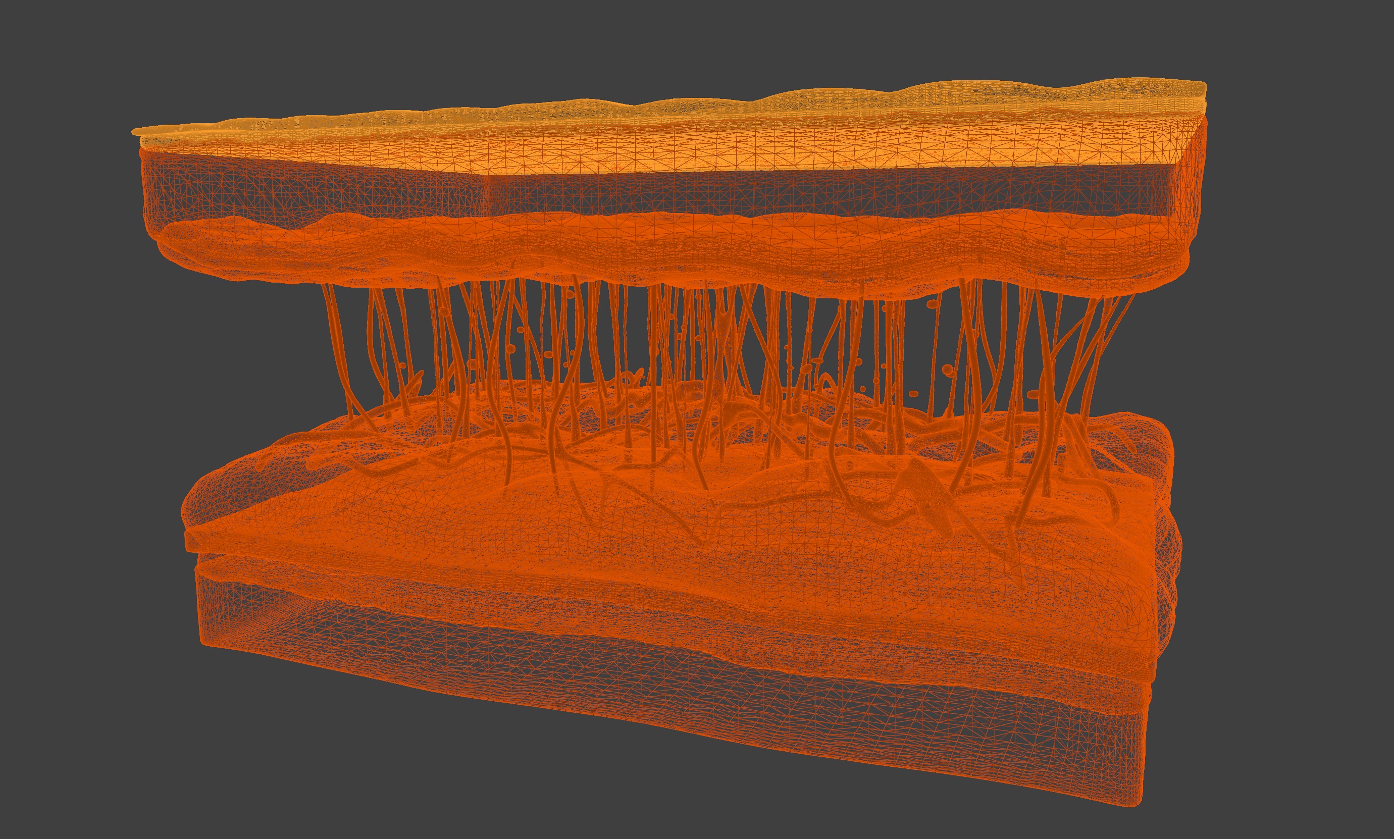 3D Model of Skin Anatomy 3D print model_12