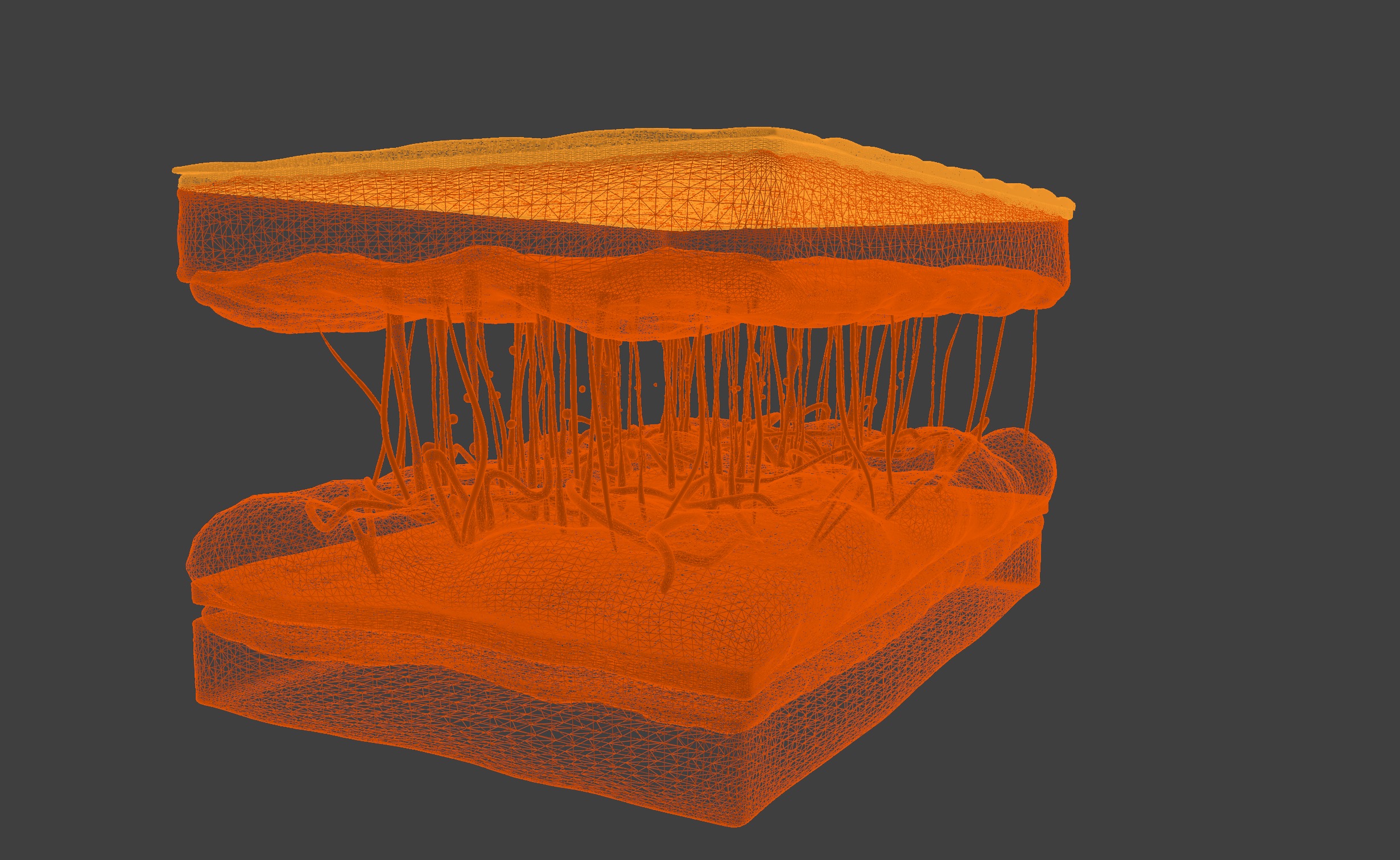 3D Model of Skin Anatomy 3D print model_11