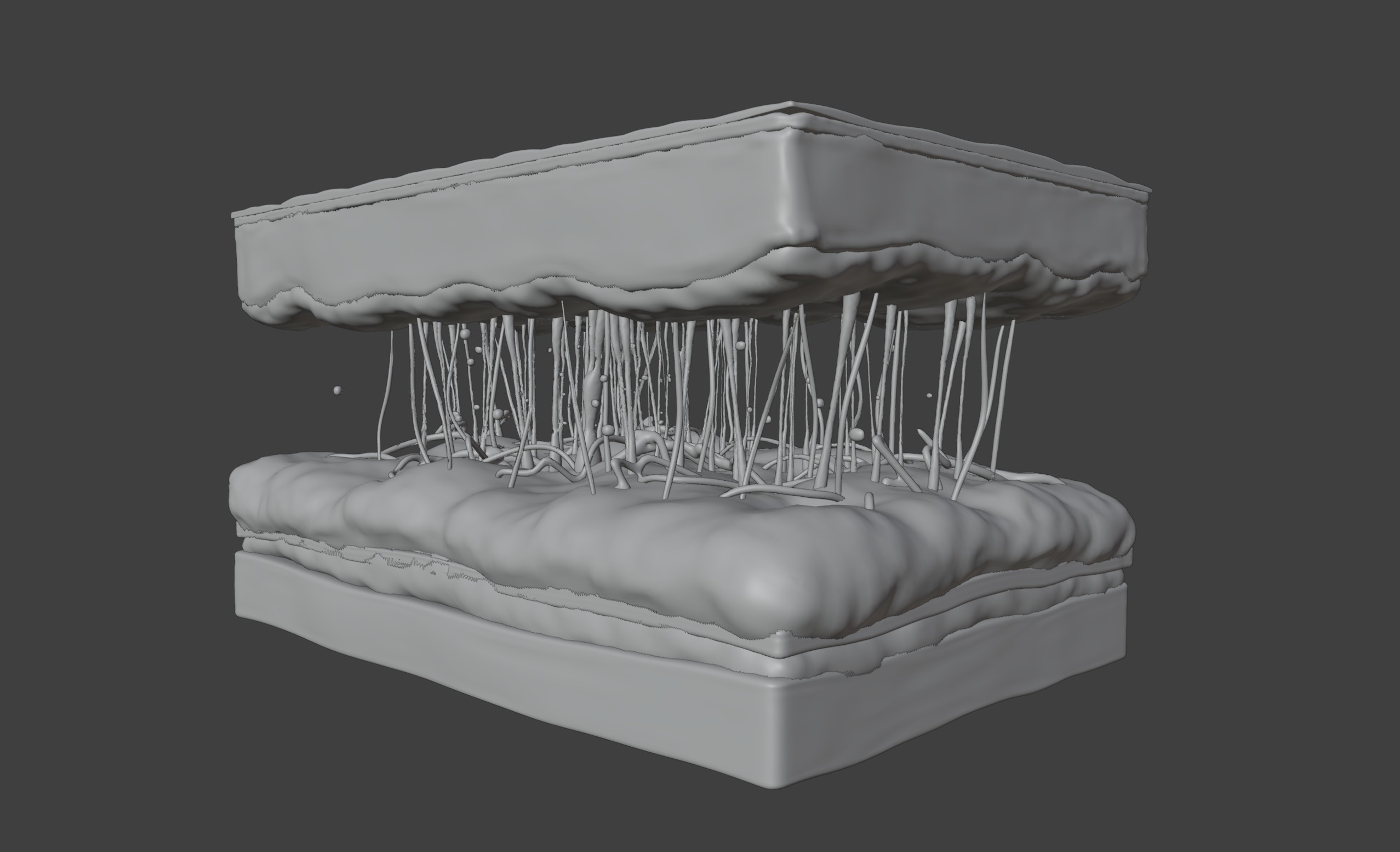 3D Model of Skin Anatomy 3D print model_7