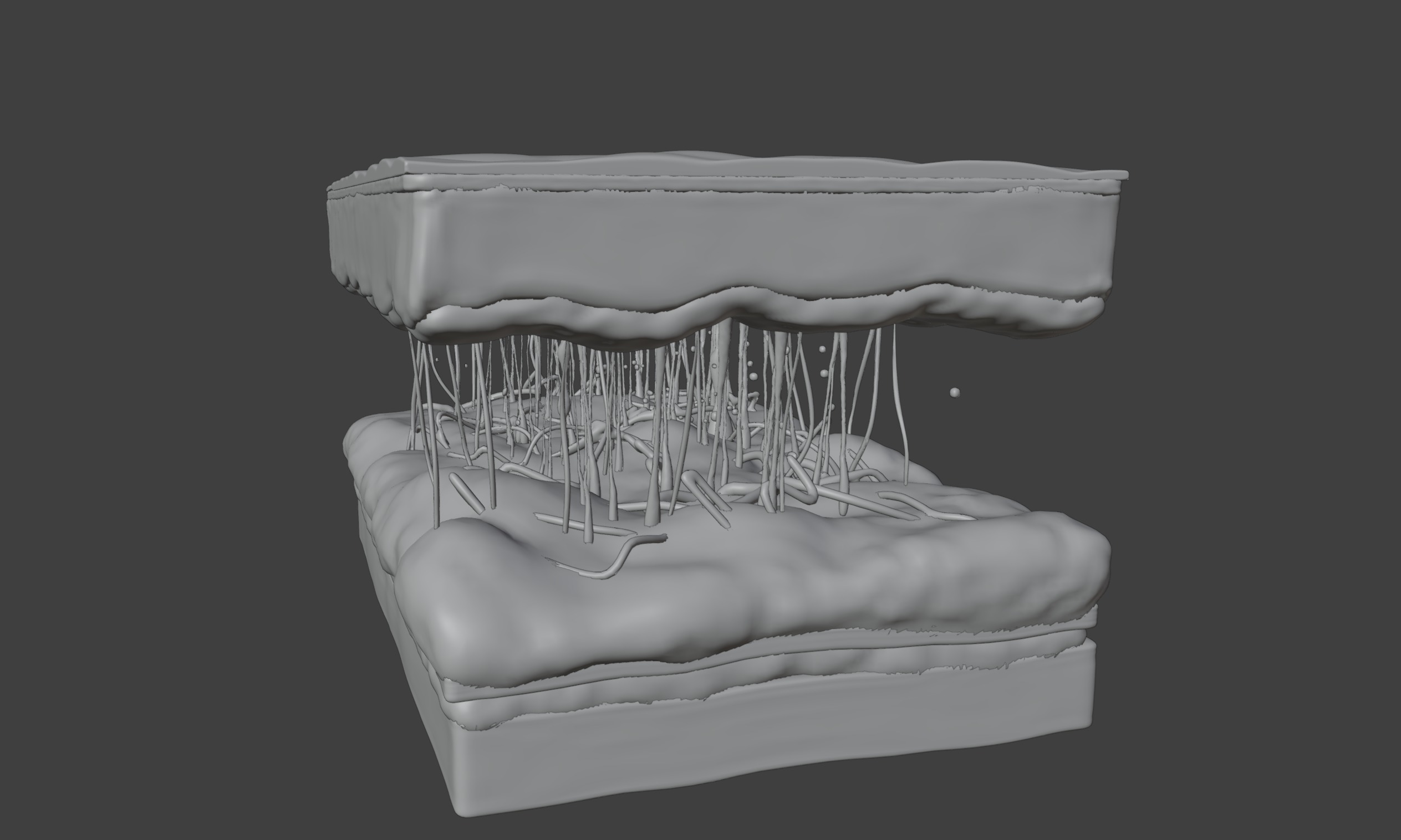 3D Model of Skin Anatomy 3D print model_6