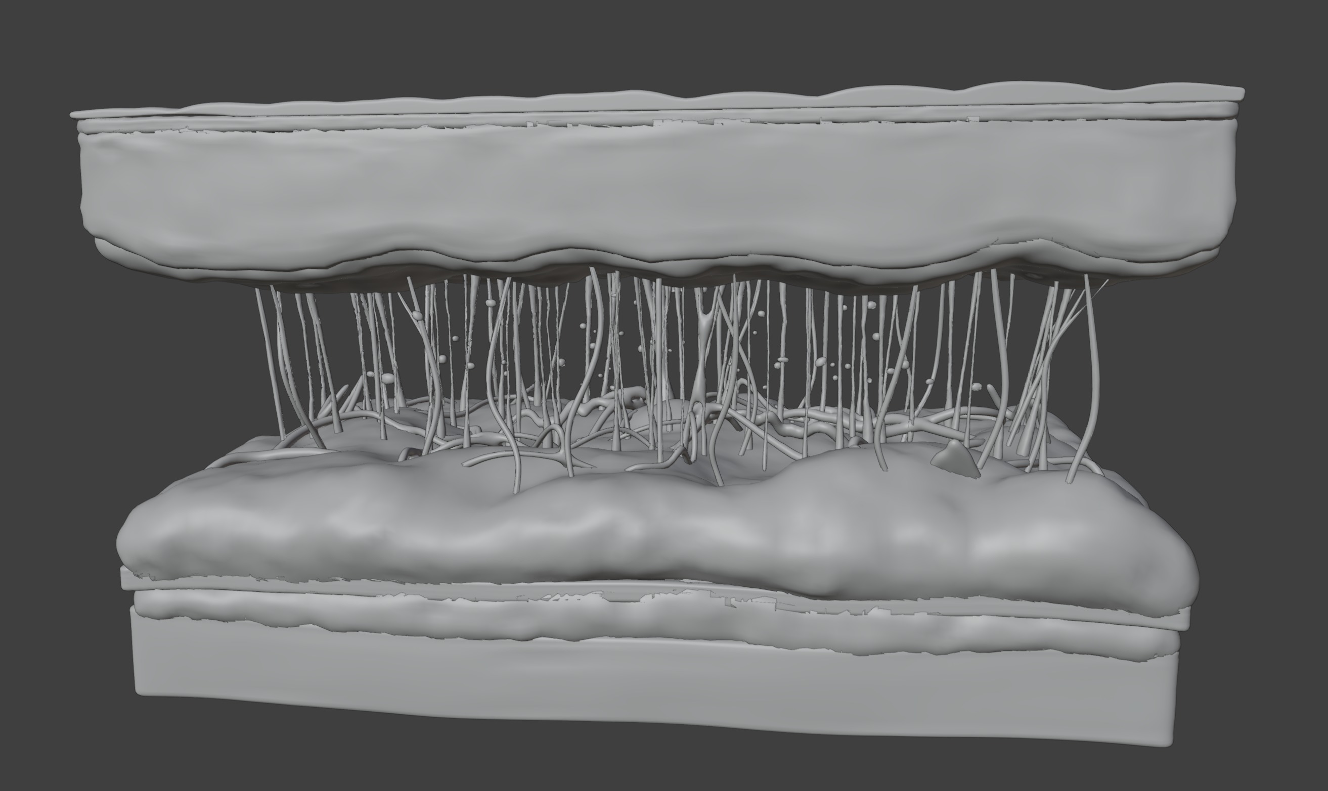 3D Model of Skin Anatomy 3D print model_5