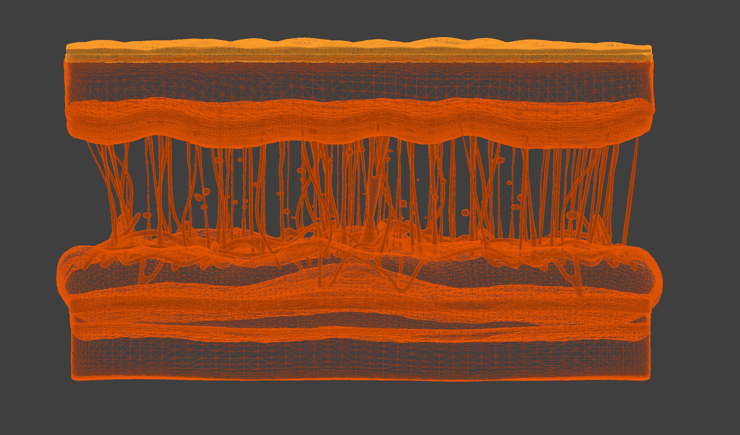 3D Model of Skin Anatomy 3D print model_4