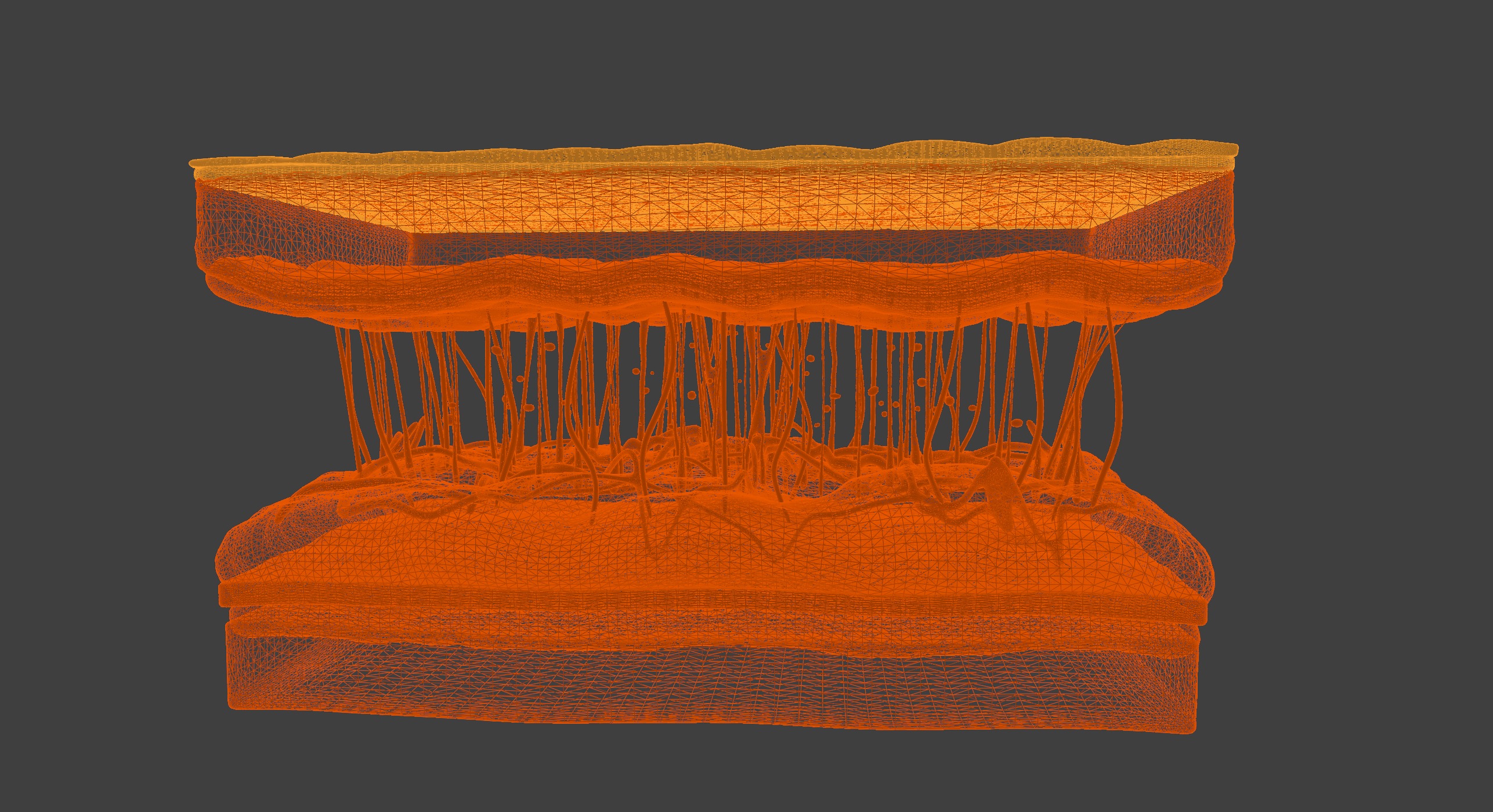 3D Model of Skin Anatomy 3D print model_10