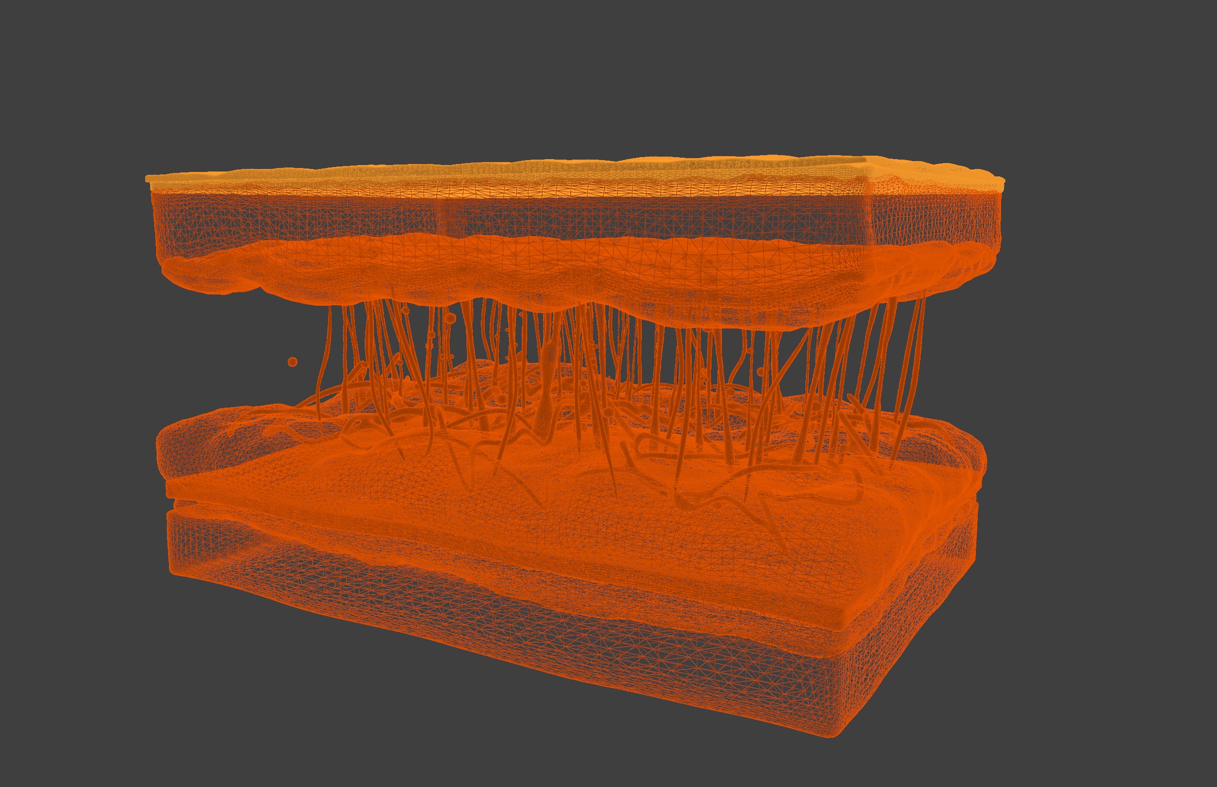 3D Model of Skin Anatomy 3D print model_9