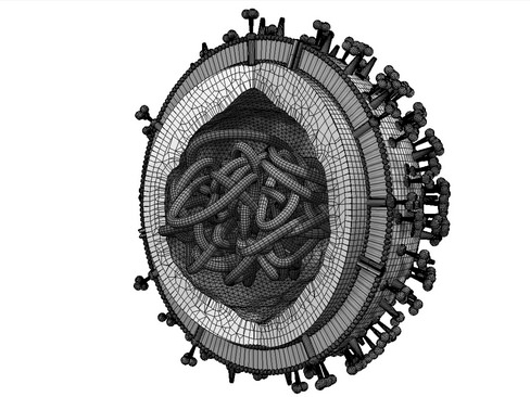 Influenza virus 3D model_8