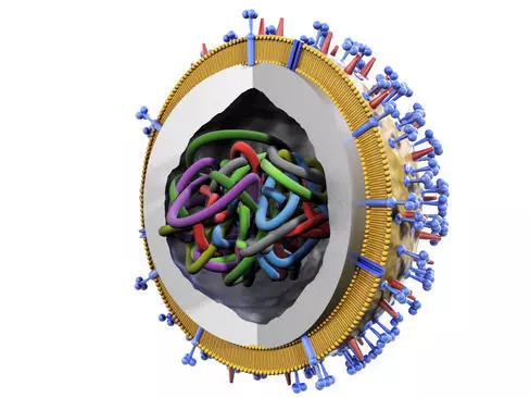 Influenza virus 3D model_0