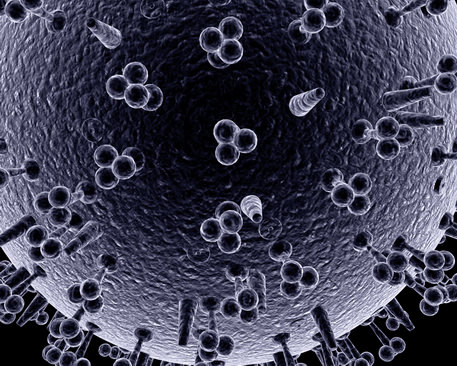 Influenza virus 3D model_7