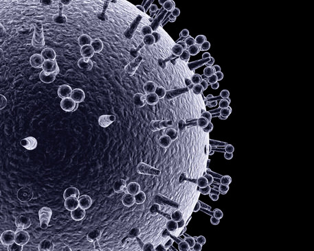Influenza virus 3D model_5