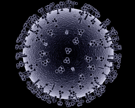 Influenza virus 3D model_4