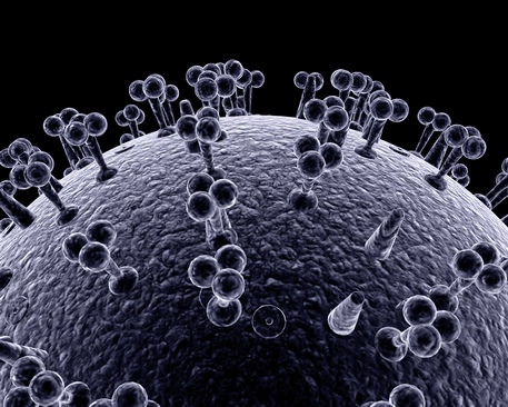 Influenza virus 3D model_6