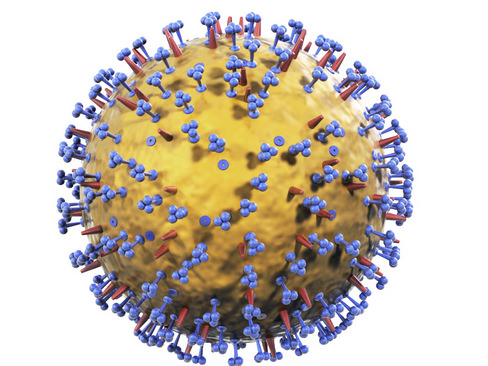 Influenza virus 3D model_1