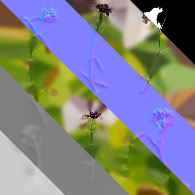 Anydrafts Dianthus chinesis heddewigii Atlas 01 Texture_8