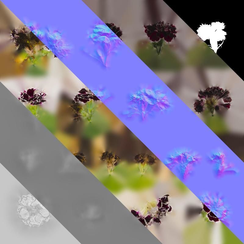 Anydrafts Dianthus chinesis heddewigii Atlas 02 Texture_8