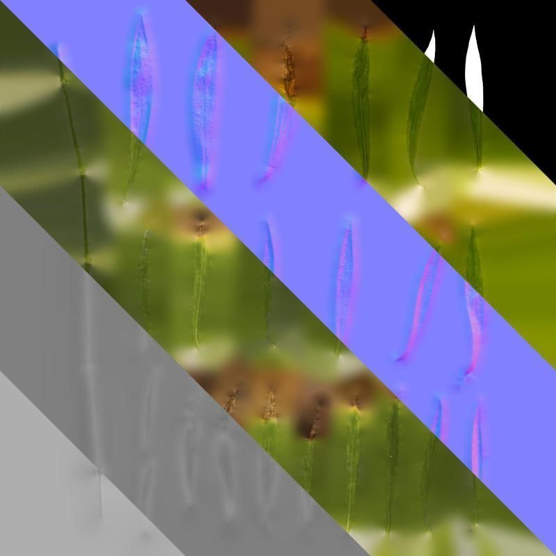 Anydrafts Dianthus chinesis heddewigii Leaf 01 Texture_8