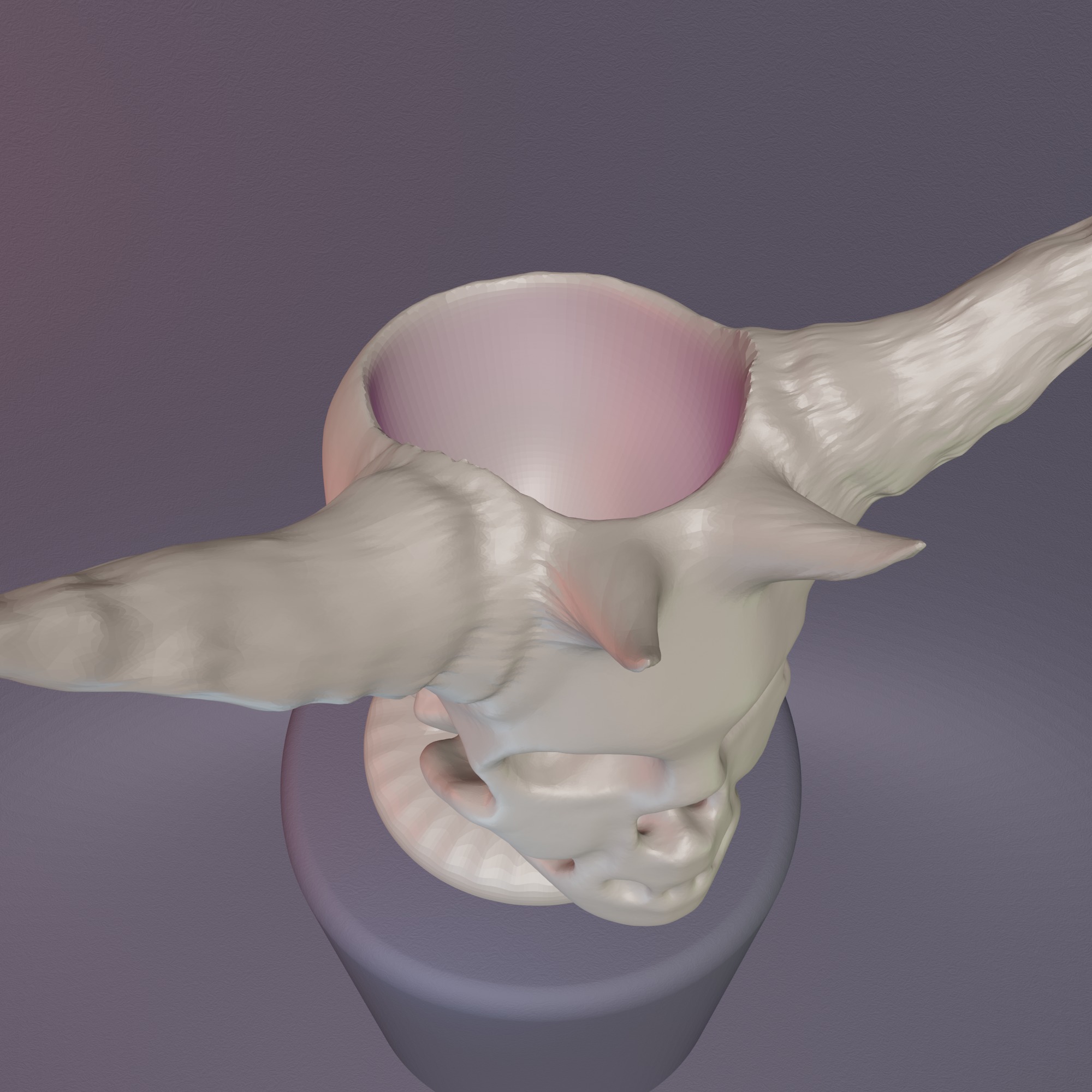 Demon Skull Vase STL File - 068 3D print model_15