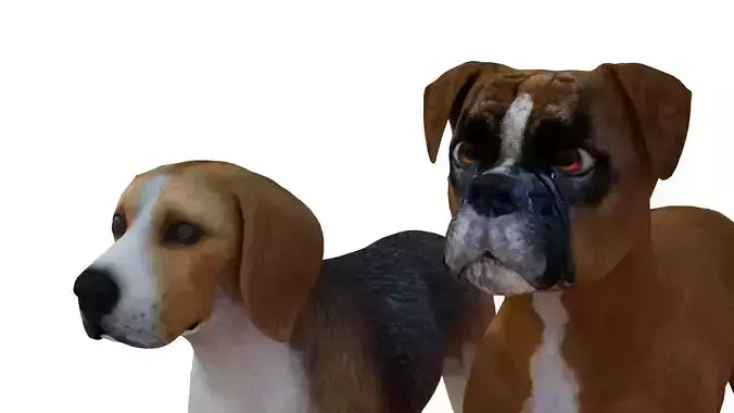  Beagle hunting and boxer Dogs Low-poly 3D model