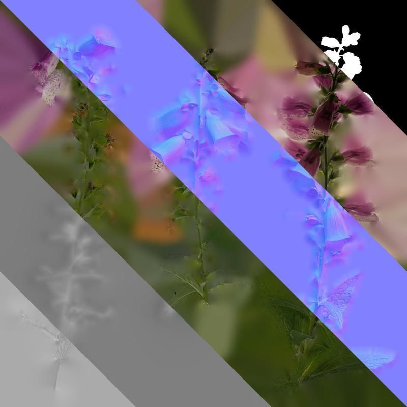 Anydrafts Digitalis purpurea Atlas 03 Texture_8