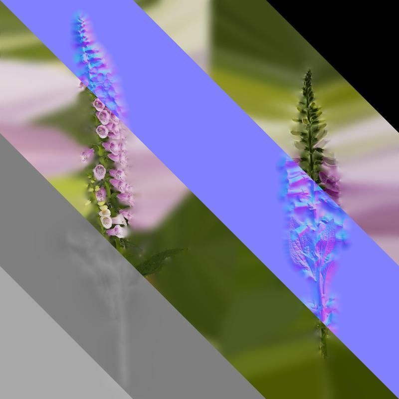 Anydrafts Digitalis purpurea Atlas 04 Texture_8